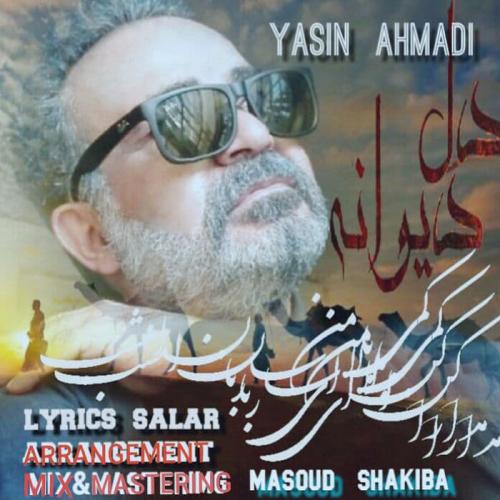 یاسین احمدی دل دیوانه